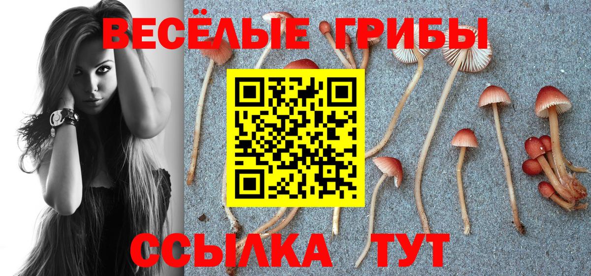 Псилоцибиновые грибы мухоморы Орёл